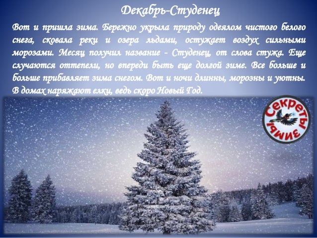 Пословицы Про Новый Год Пословицы Про Новый Год